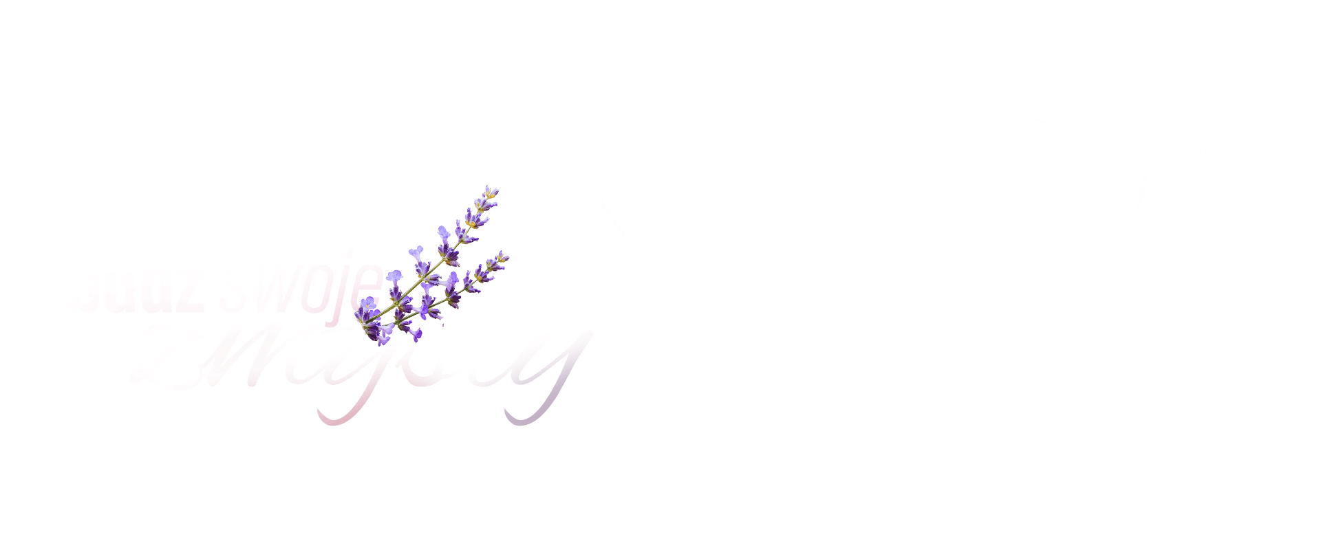 Napoje sezonowe lawendowe  2c