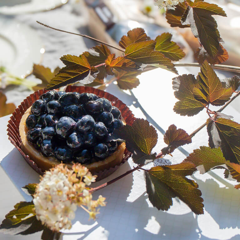 Blueberry cupcake - Cupcakes - Pastries - Zdjęcie 2