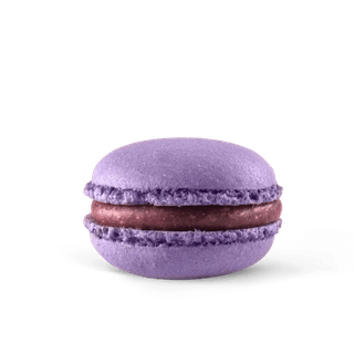 Makaronik czarna porzeczka