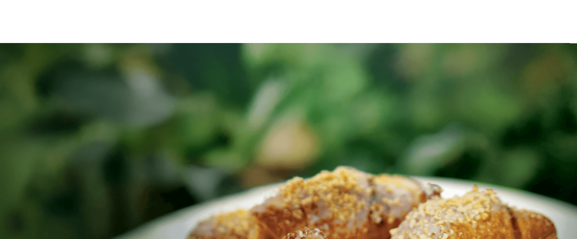 Rogale Bydgoskie 2025 1a