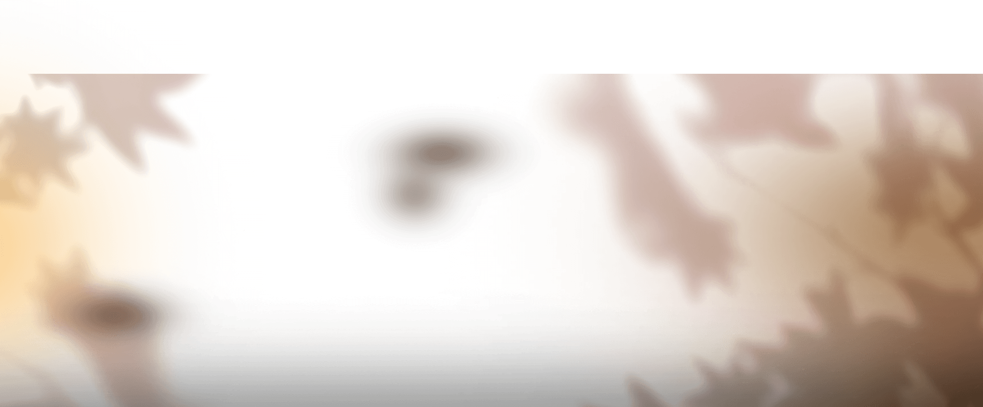 Trio Pumpkin Spice 1b