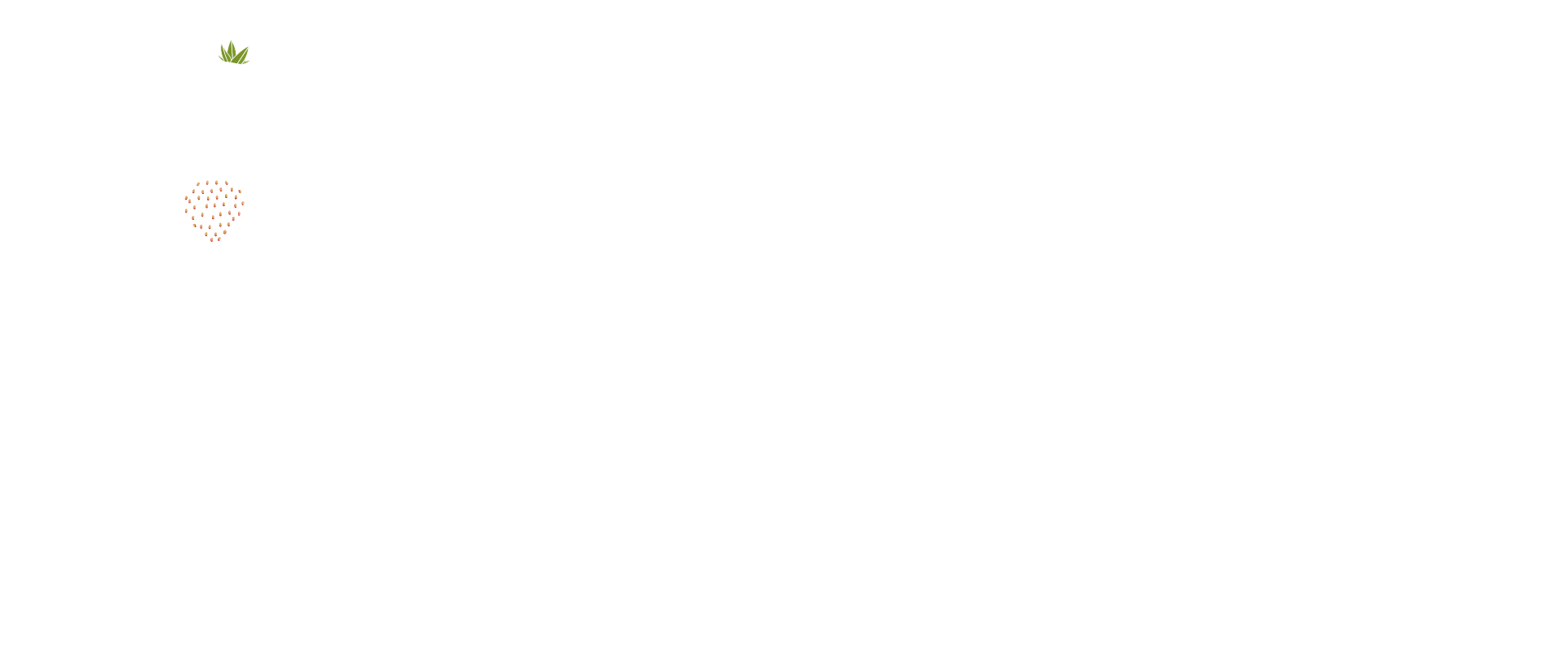 Banner truskawka 1c