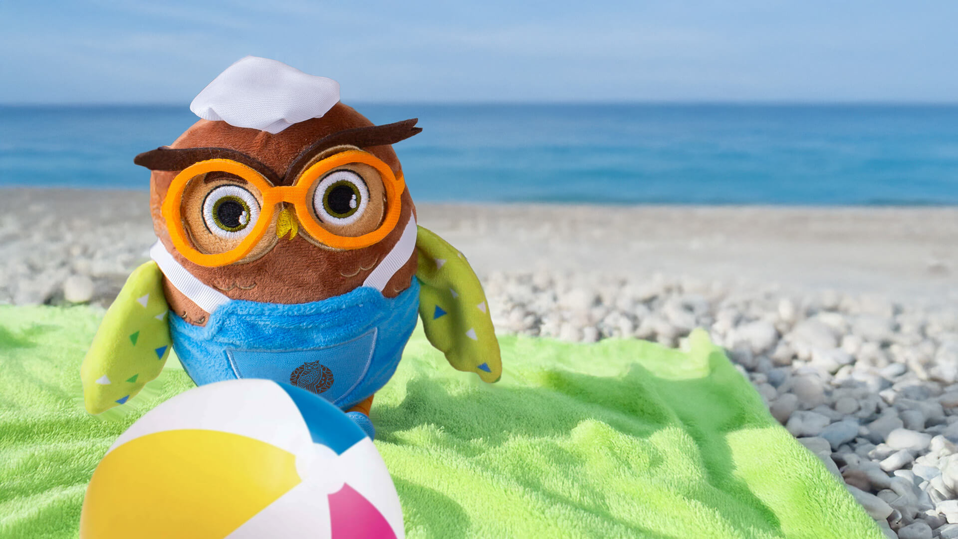 Zdjęcie pluszowej sowy w okularach i czapce kucharskiej, ubranej w niebieski fartuszek. 
Sowa znajduje się na kamienistej plaży, siedząc na zielonym ręczniku, a obok leży kolorowa piłka plażowa. W tle widać morze i bezchmurne niebo. Pluszak wygląda wesoł