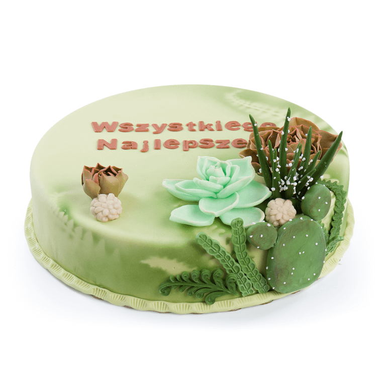 Succulents Cake - Extra-decorative cakes - Cakes - Zdjęcie 1