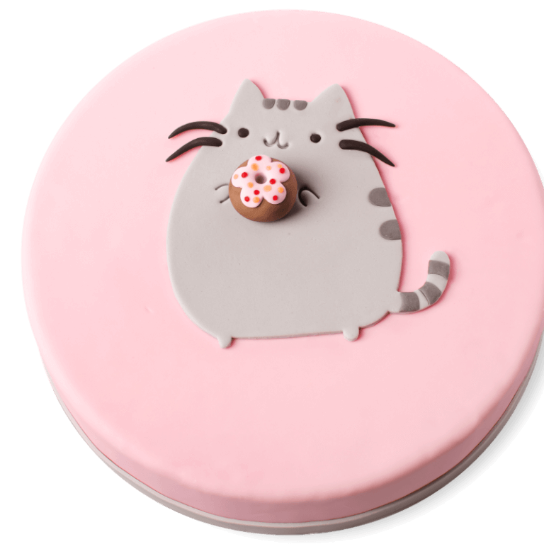 Fluffy Cat Cake - Sowa Kids Cakes - Cakes - Zdjęcie 1