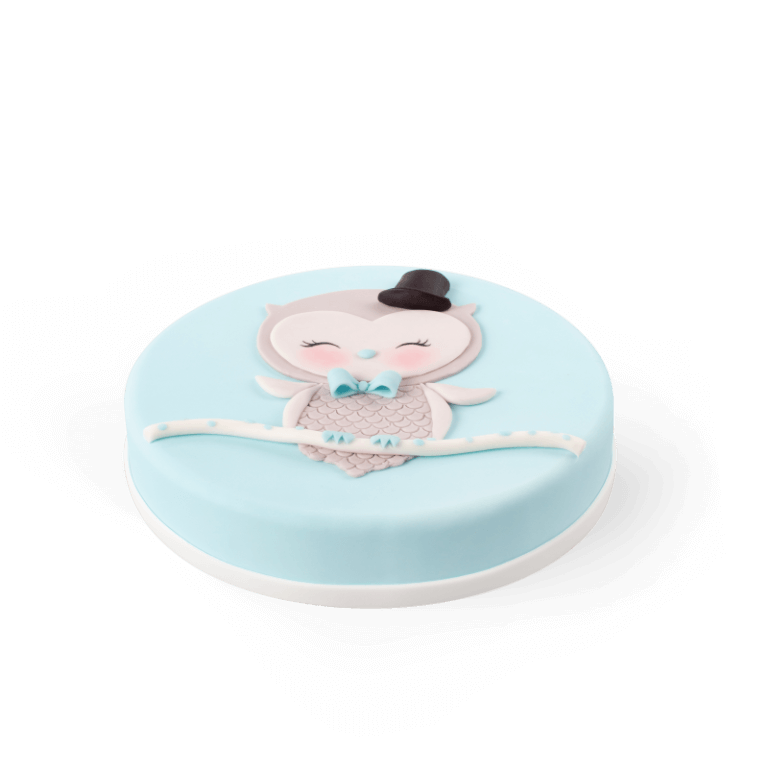 Mr. Owl Cake - Sowa Kids Cakes - Cakes