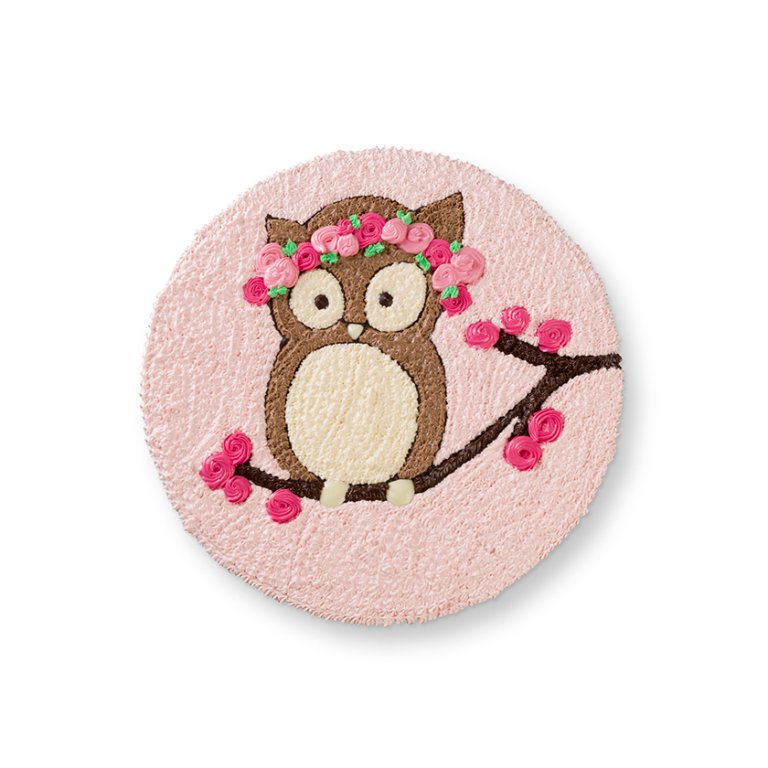 Little Owl Cake