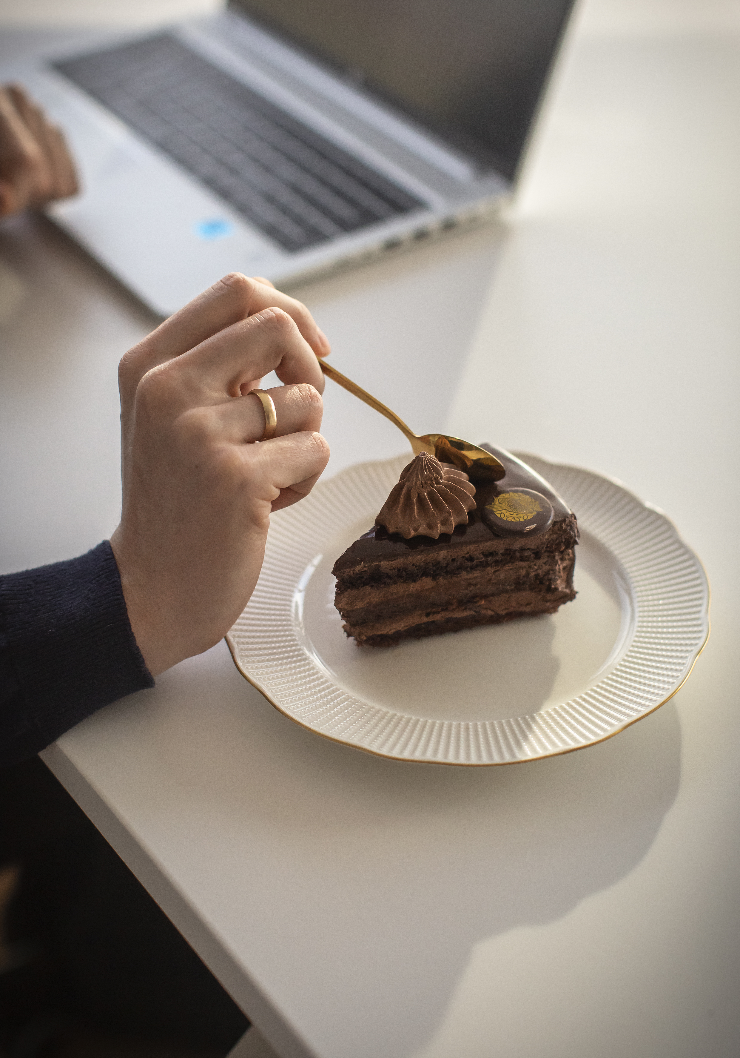 cukiernia-sowa-tort-czekoladowy